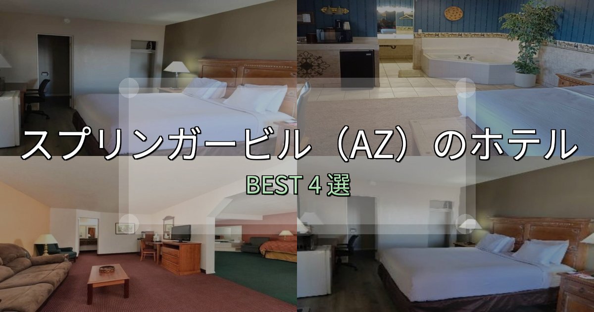 清潔感が違うスプリンガービル（AZ）ホテル完全攻略4選【料金・設備・立地比較】